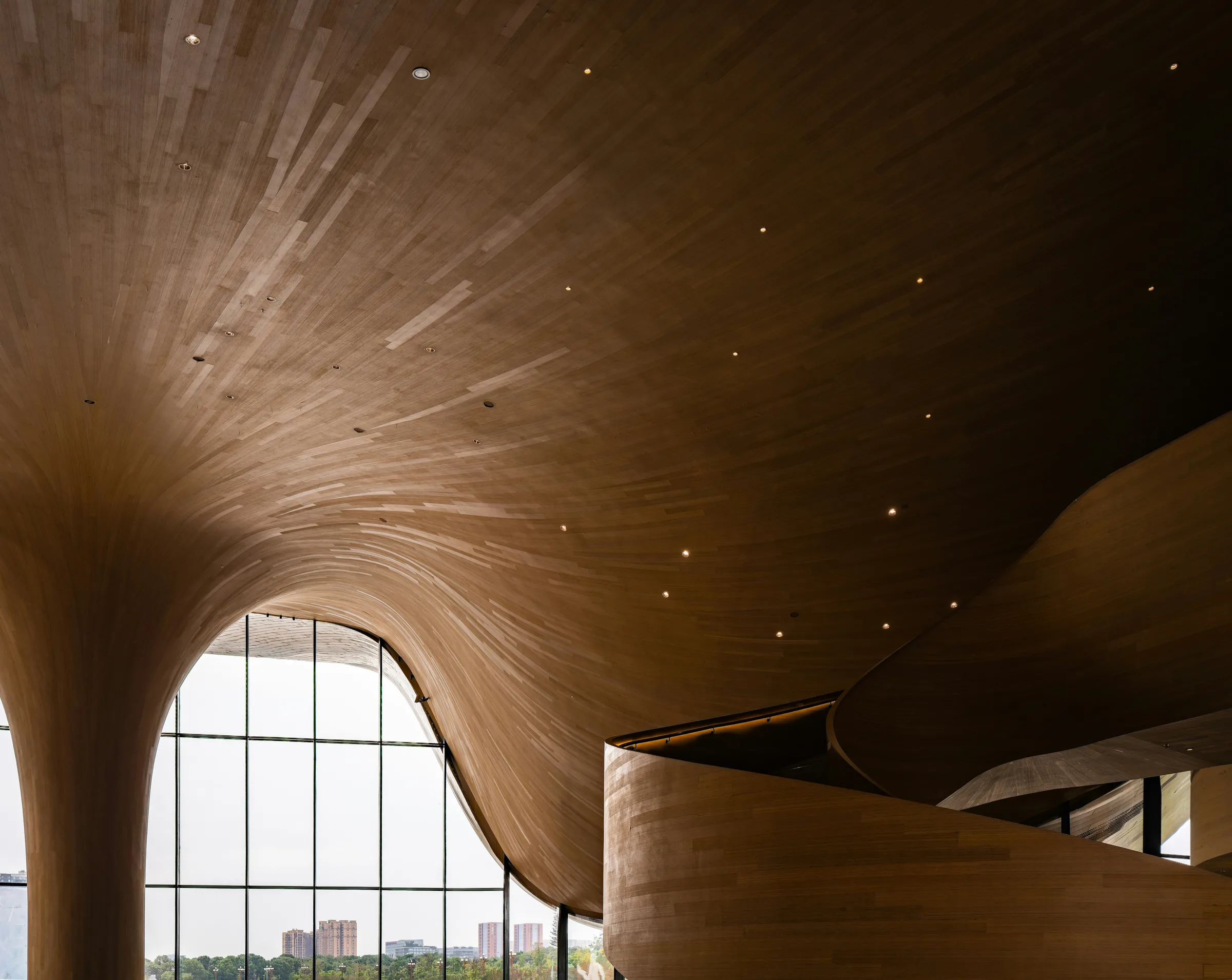Curved timber interior with daylight